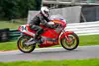 Vintage-motorcycle-club;eventdigitalimages;mallory-park;mallory-park-trackday-photographs;no-limits-trackdays;peter-wileman-photography;trackday-digital-images;trackday-photos;vmcc-festival-1000-bikes-photographs